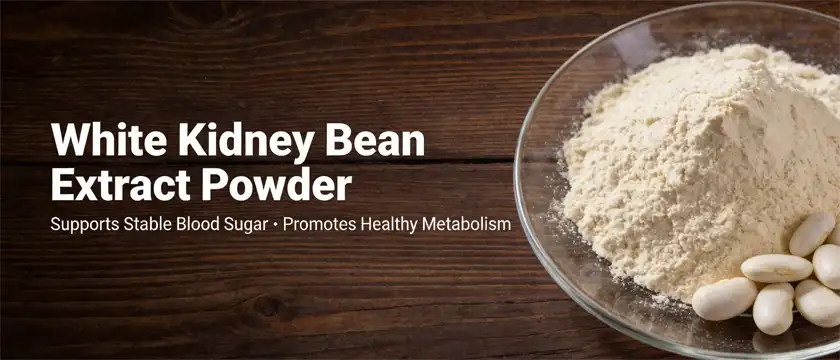 white kidney bean extract powder