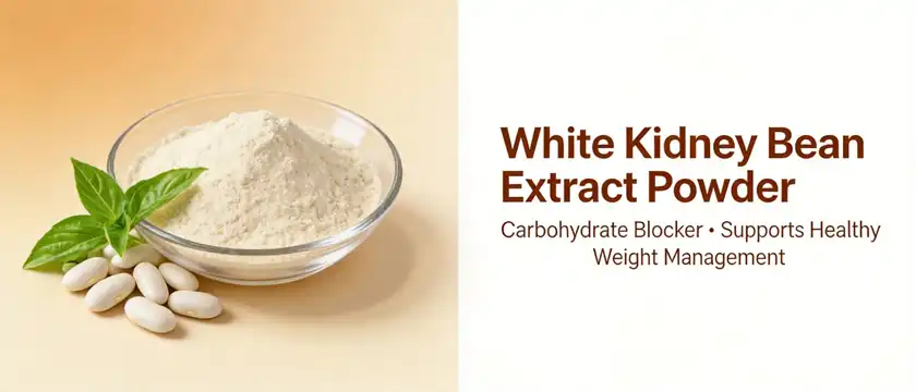 white kidney bean extract powder