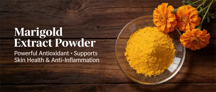 marigold extract powder
