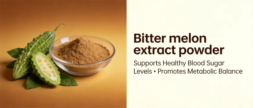 bitter melon extract powder bitter melon extract powder