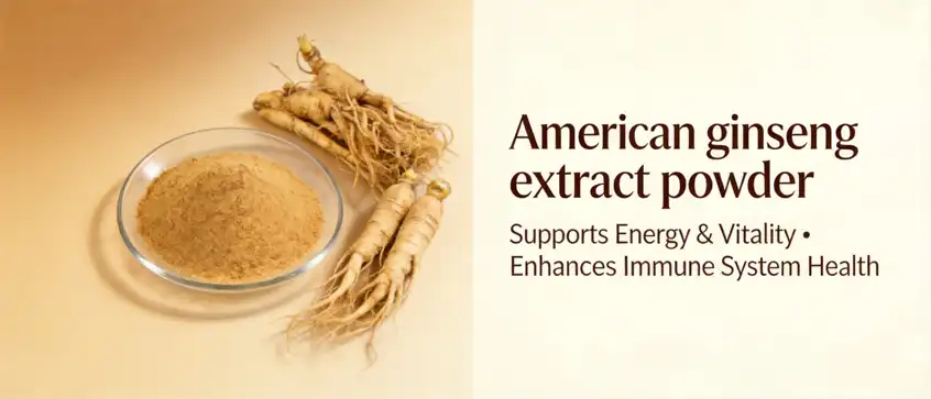 american ginseng extract powder american ginseng extract powder
