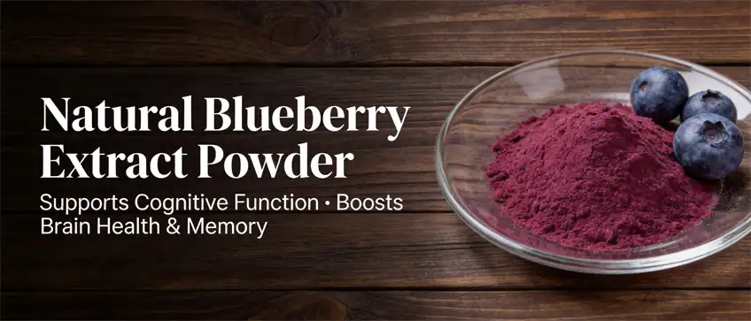 natural blueberry extract powder natural blueberry extract powder