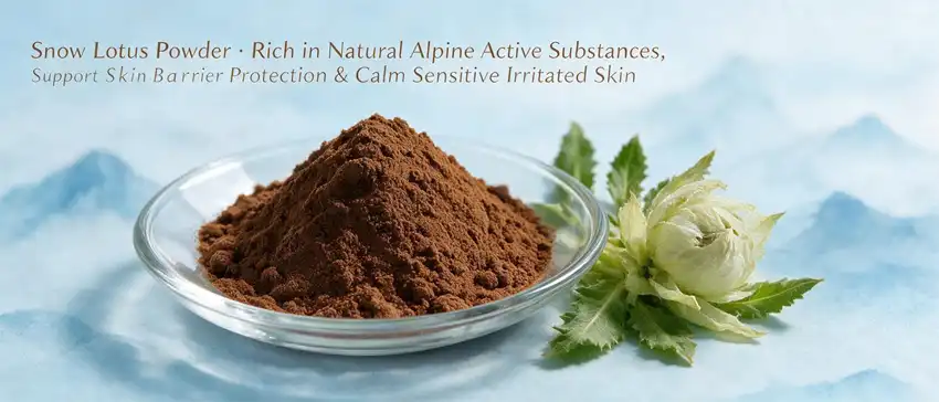 Snow Lotus Powder Snow Lotus Powder