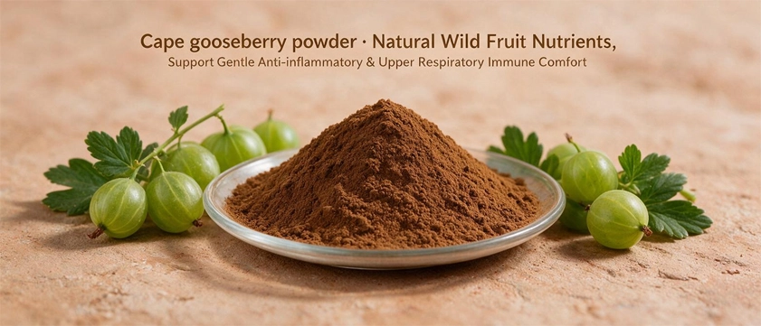 Cape gooseberry powder Cape gooseberry powder