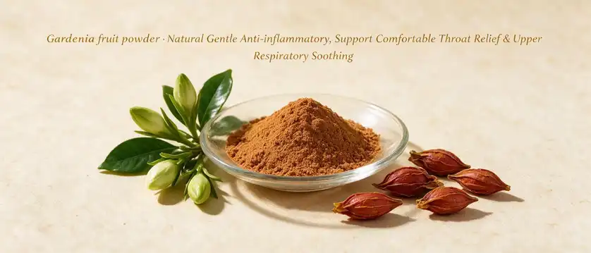 Gardenia fruit powder Gardenia fruit powder