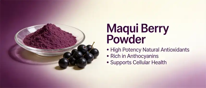 Maqui berry powder Maqui berry powder