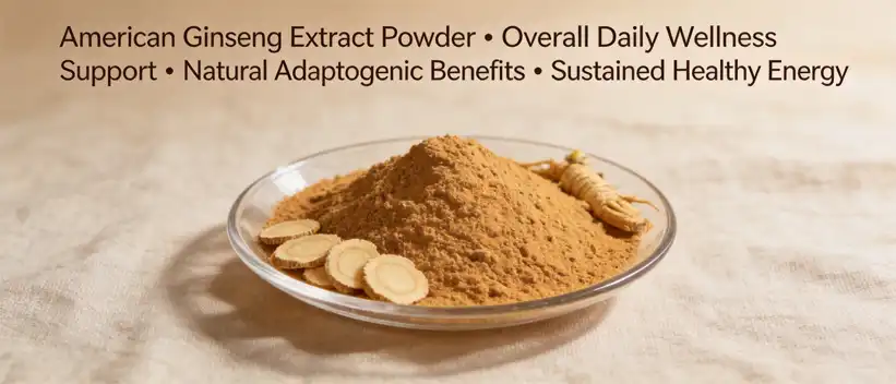American ginseng extract powder