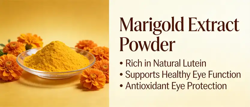 marigold extract powder marigold extract powder
