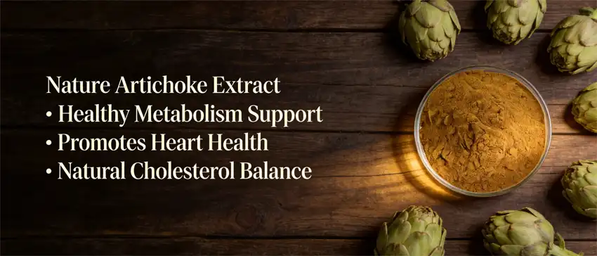 nature artichoke extract nature artichoke extract