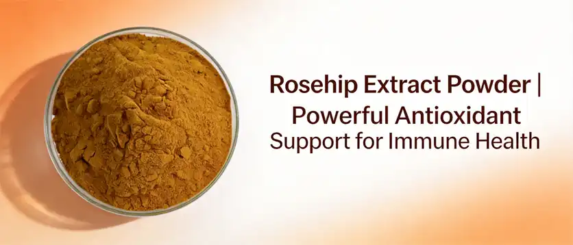 Rosehip extract powder
