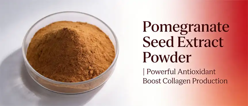 Pomegranate seed extract powder Pomegranate seed extract powder