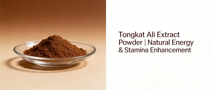 Tongkat Ali extract powder