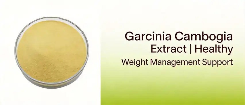 Garcinia Cambogia Extract Garcinia Cambogia Extract