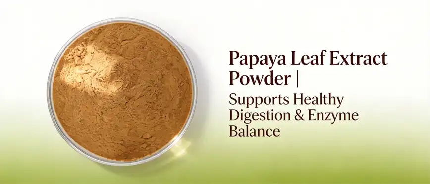 papaya leaf extract powder