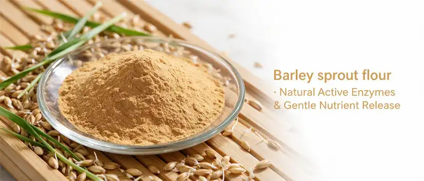 Barley sprout flour