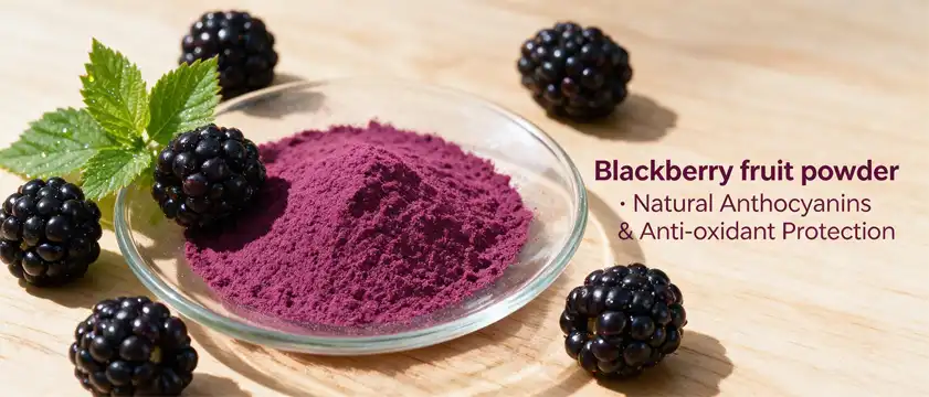 Blackberry fruit powder Blackberry fruit powder