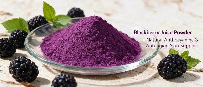Blackberry juice powder Blackberry juice powder