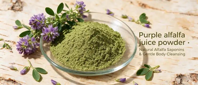Purple Alfalfa Juice Powder