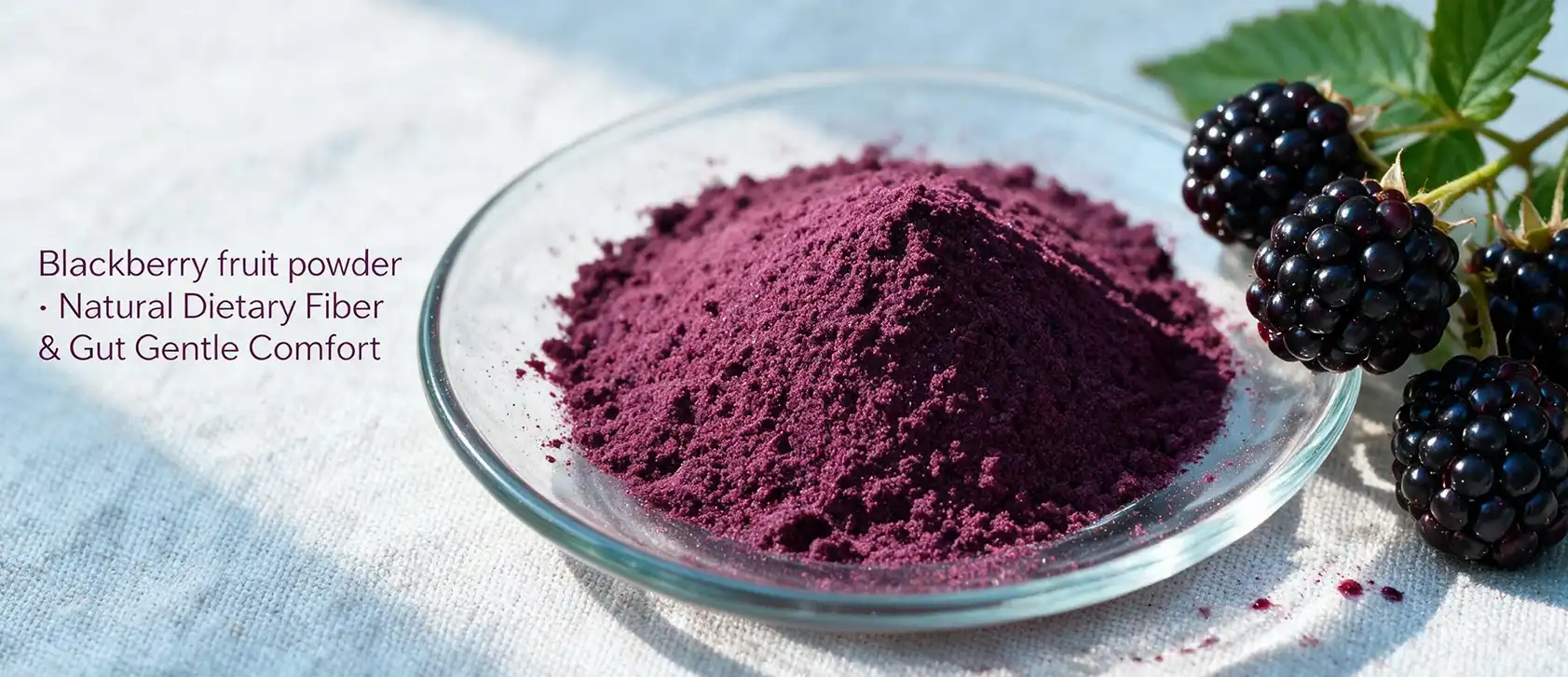 Blackberry fruit powder Blackberry fruit powder