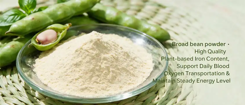 Broad bean powder Broad bean powder