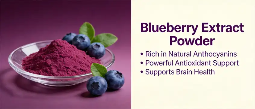 natural blueberry extract powder