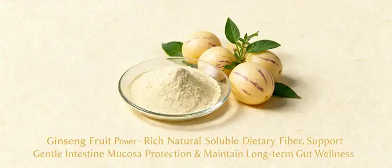 Ginseng fruit powder Ginseng fruit powder