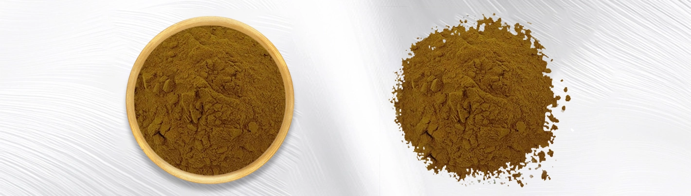 Angelica dahurica extract Angelica dahurica extract