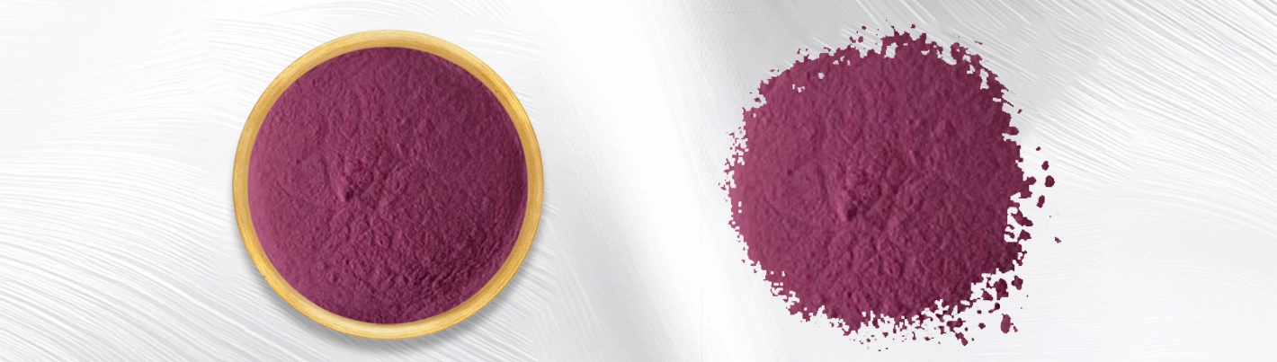 Elderberry Liquid Extract