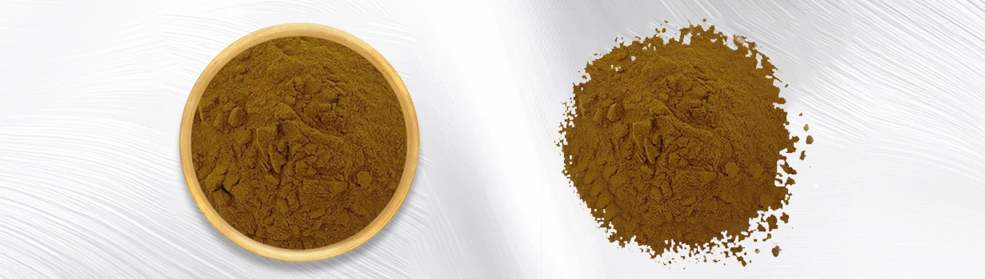 Hovenia Dulcis Extract Powder - Premium Liver Support & Alcohol Metabolism Ingredient hovenia dulcis extract powder