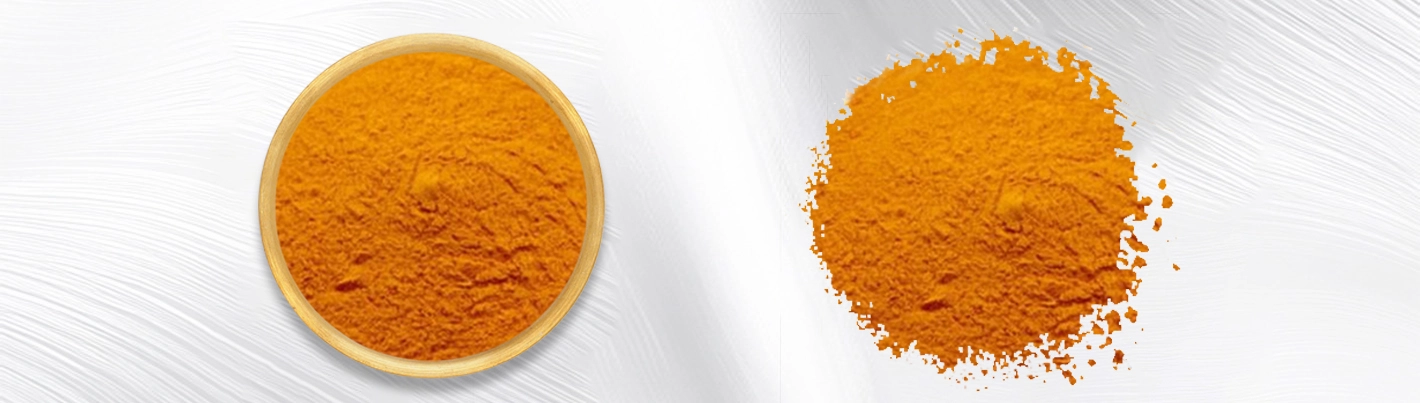 Coenzyme Q10