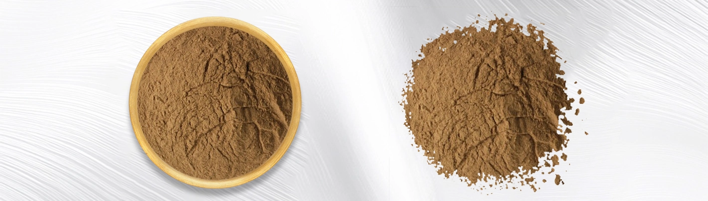 Peanut Skin Extract Peanut Skin Extract