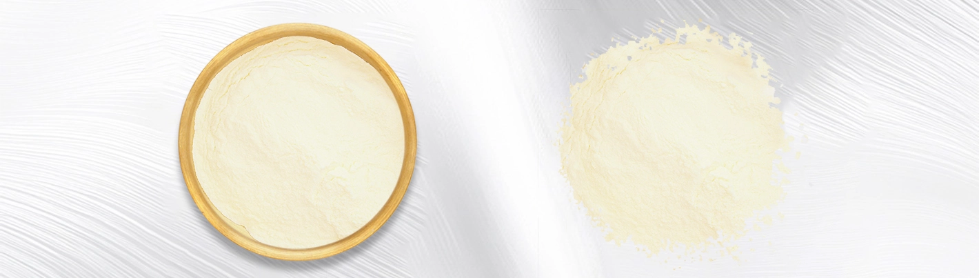 Sesame Seed Extract powder