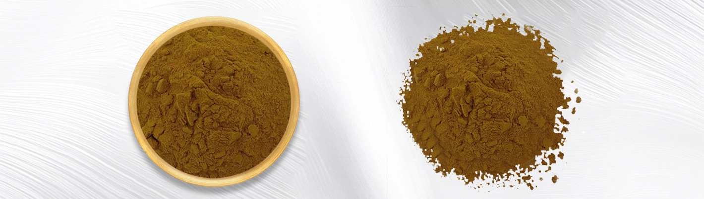 Alpinia oxyphylla extract Alpinia oxyphylla extract