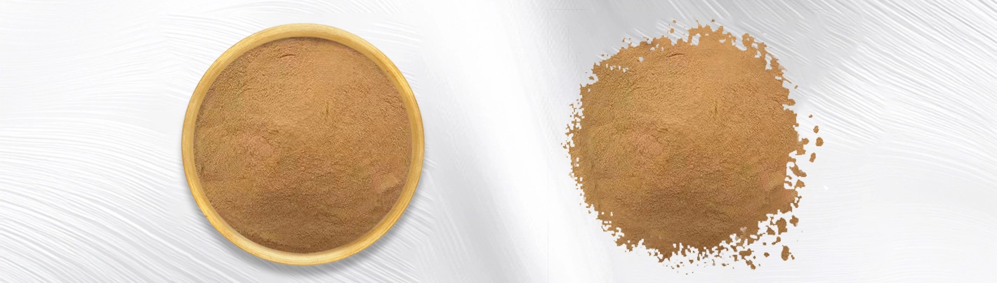 Chrysanthemum indicum extract