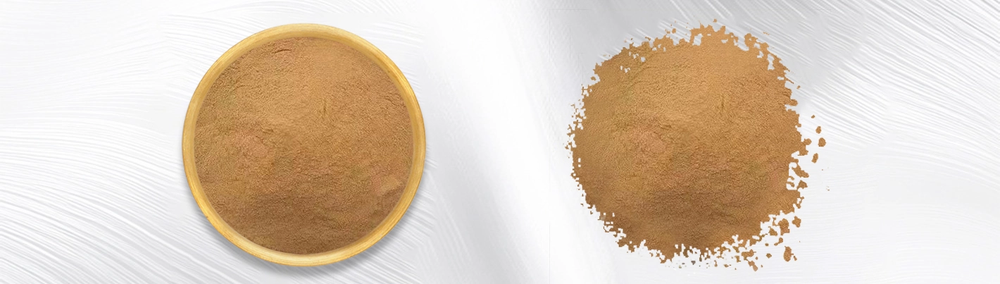 cactus plant extract Premium Cactus Plant Extract Supplier – BioSpark (Xi'an) Biotechnology 