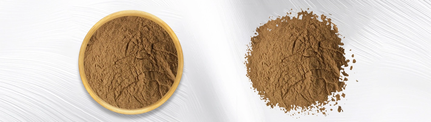 Agrimonia pilosa extract Agrimonia pilosa extract