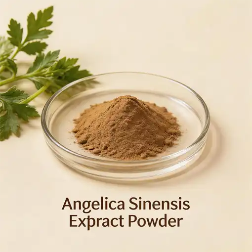 Angelica Sinensis Extract Powder Buying Guide: What to Look For?